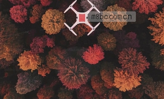 一对情侣在夕阳余晖中望着天空，白云间露出笑脸。