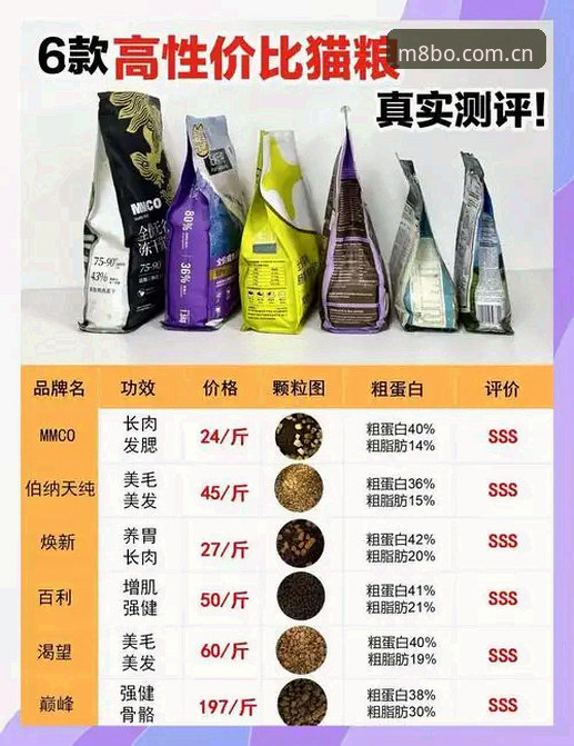 博体育网址怎么选才不踩坑？推荐评测里的门道你看懂了多少？